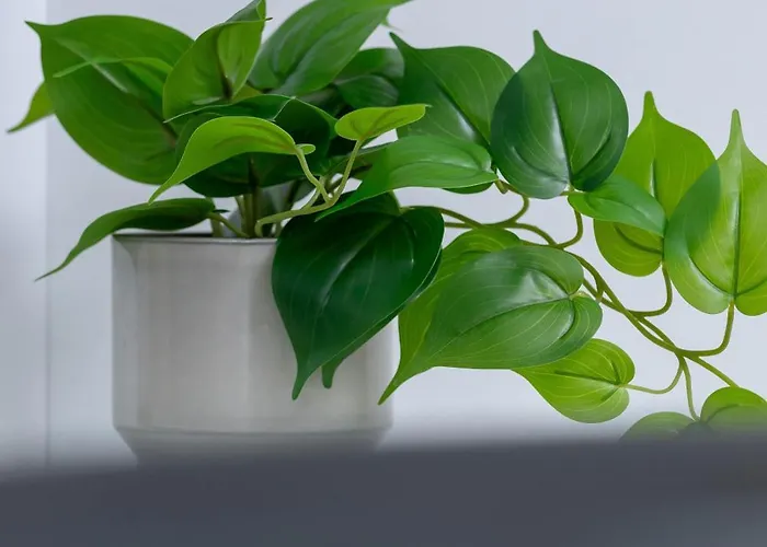 Komfortowy Z Parkingiem I Balkonem By Renters